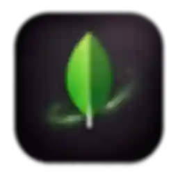 MongoDB adatbázis Adatbázis